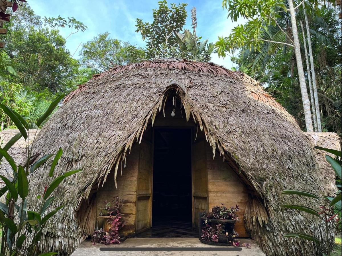Palmayacu - Refugio Amazonico Leticia Bagian luar foto