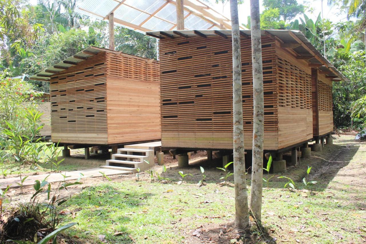 Palmayacu - Refugio Amazonico Leticia Bagian luar foto